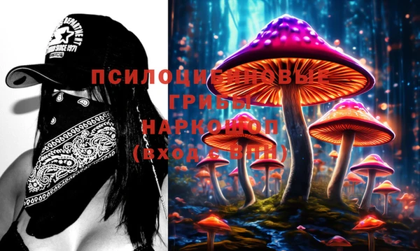 спиды Алзамай