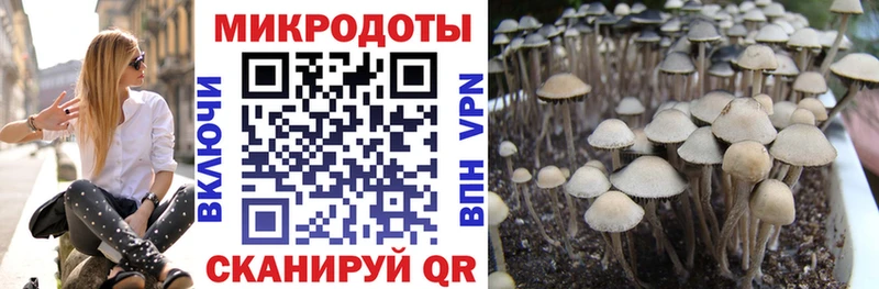 Псилоцибиновые грибы прущие грибы  мега ССЫЛКА  Карачаевск 
