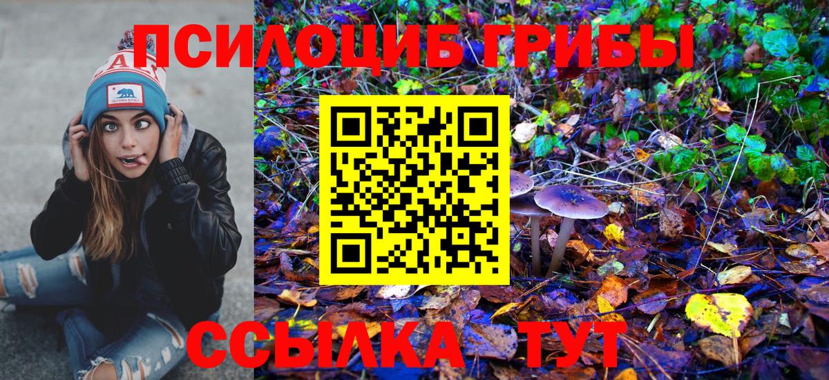 МЕТАДОН Карачаевск